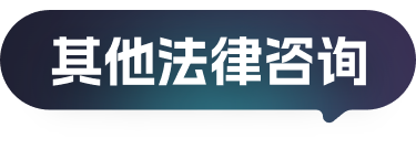 其他法律咨询